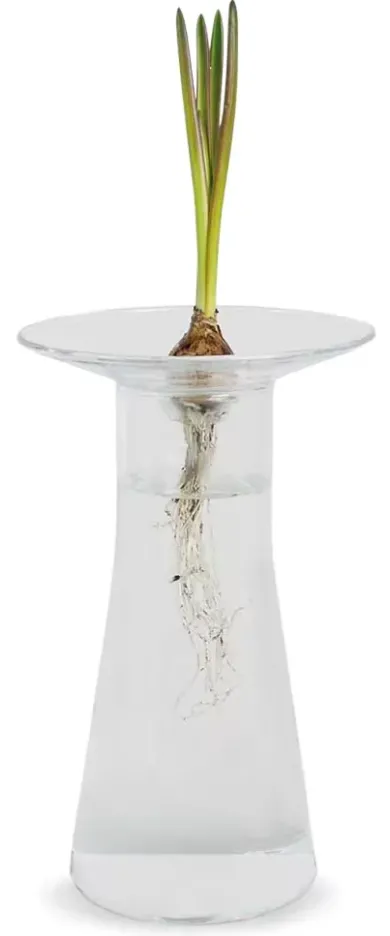 Aufsatz zu Vase Labor
