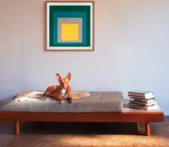 Druck Josef Albers