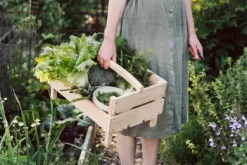 Kleine Gartenschere