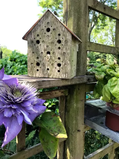 Nisthilfe Bienenhotel Bee's Inn