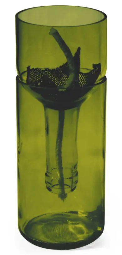 Pflanzgefäß Self Watering Bottle
