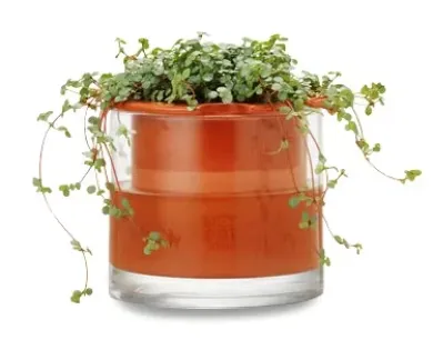 Pflanzgefäß Wet Pot Systems