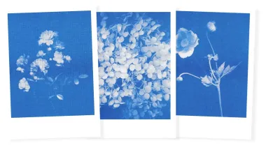 Postkarten-Set Riso
