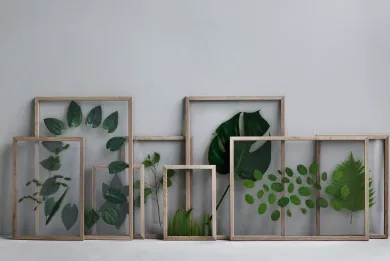 Rahmen Frame, Holz