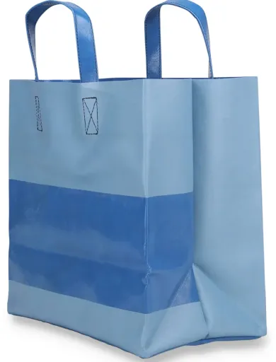 Tasche F250 Sonny
