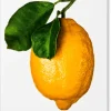 The Gourmand's Lemon