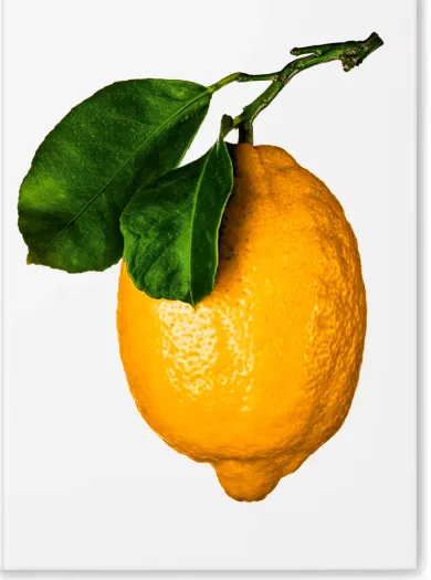 The Gourmand's Lemon