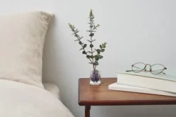 Vase Michi Kusa